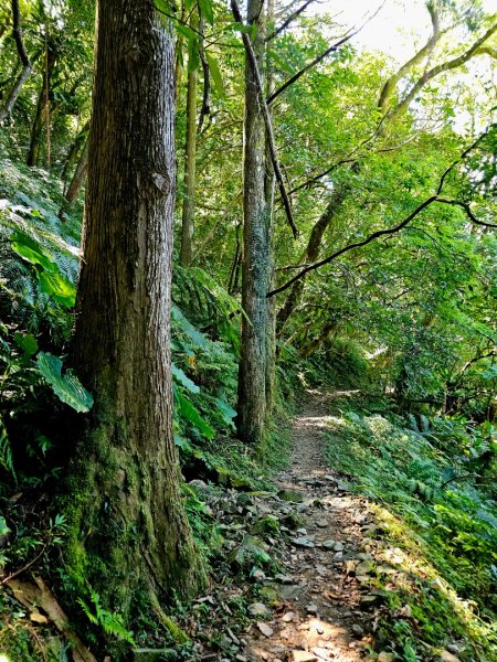 灣潭古道(淡蘭中路)-新北市雙溪區2882684