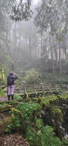 太平山翠峰湖見晴懷古步道2629003