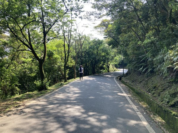 大棟山登山步道2496067