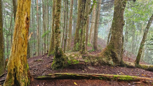 112.04.08 油羅山2123577