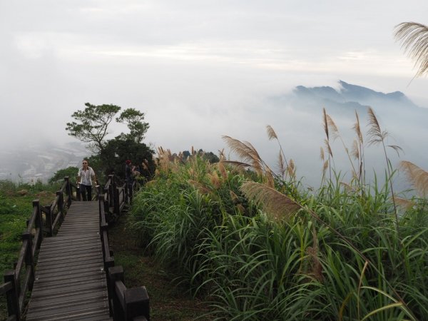 嘉義二延平步道觀雲瀑20181208478129