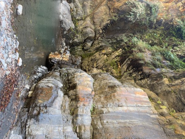 20250130 北港溪峽谷步道2702934