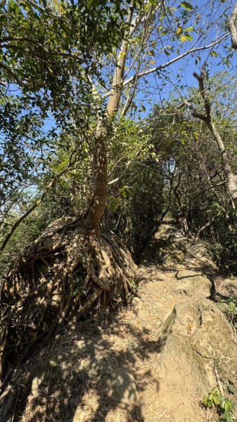 20260211小百岳旗尾山3002861