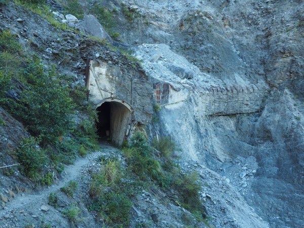 [百岳]能高越嶺逆走與奇萊南峰1042664