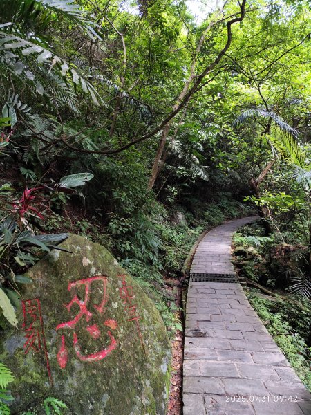 大湖公園→大溝溪生態治水園區→圓覺寺步道→圓覺瀑布→圓覺寺→鯉魚山步道【臺北大縱走 4、臺北健走趣】2849092