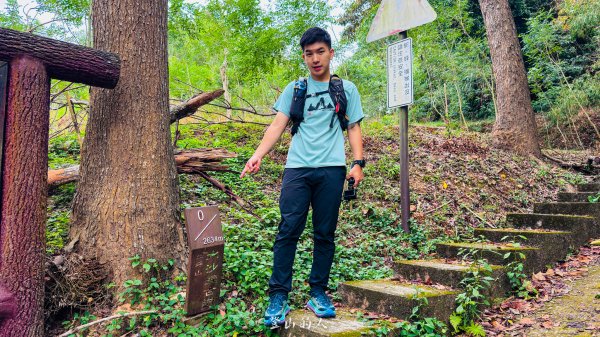 水沙漣古道｜二坪山2979986