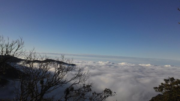 霧到薄時，情更濃 ~ 雲的故鄉464568