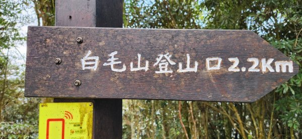 【中級山】天梯直上雲霄，一切美景盡在眼底，谷關七雄白毛山2742446