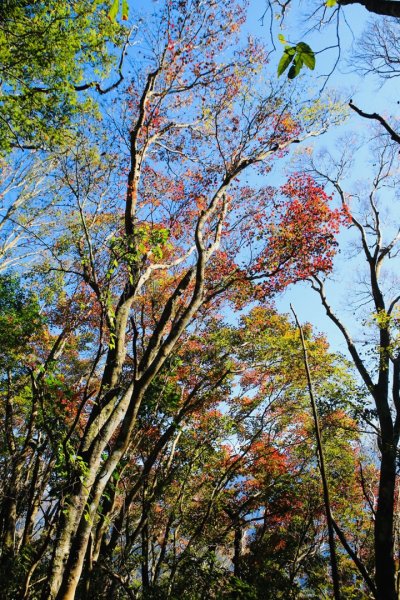 橫龍古道 -108_1208768095