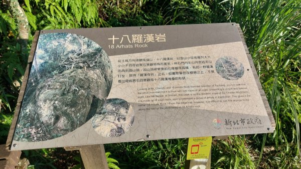 20250816_天上山系望月亭桐花段2863448