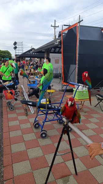 光雕：北門井仔腳瓦盤鹽田1766404
