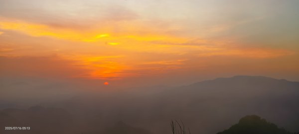 雲山水花鳥蝶-天龍國阿伯的日常 7/162838395