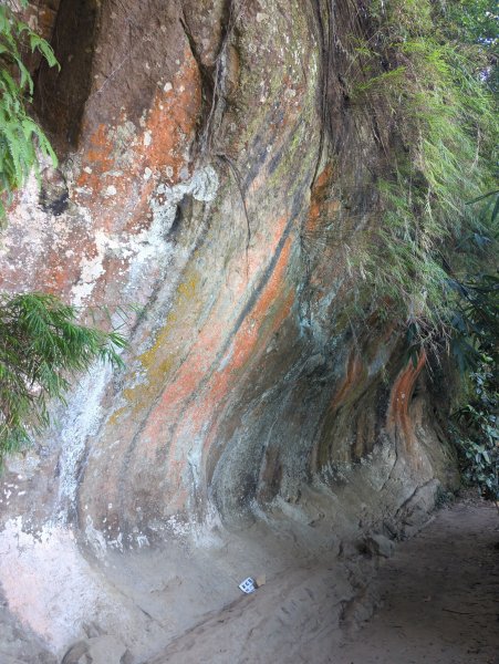 2025.09.21－微笑山線：【鳶山山系】鳶山彩壁段2898710