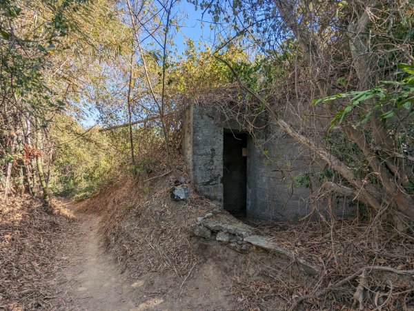 漯底山自然公園1964984