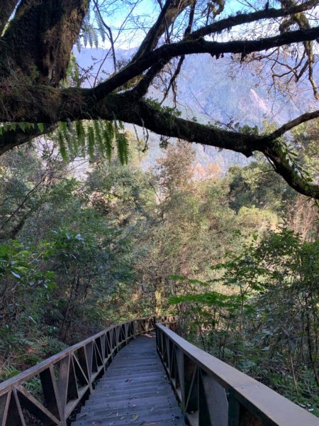 梨山賓館步道875974