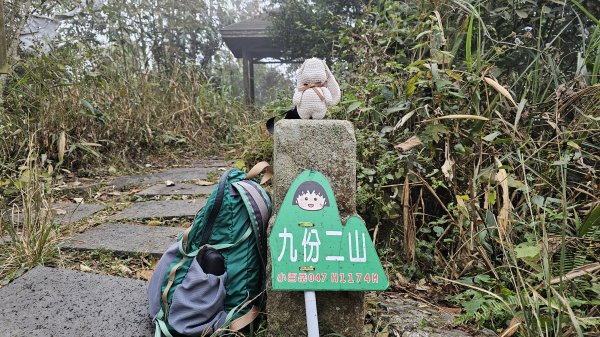 【登頂小百岳；見證九二一】解鎖第57座小百岳，編號047九份二山