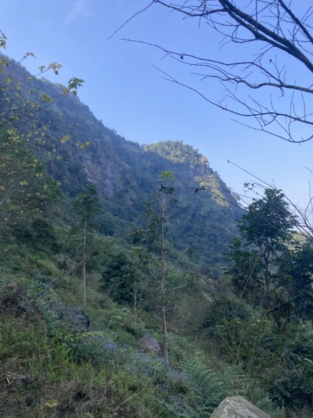 20260219九龍山+崩山+黑石崁山南峰+黑石崁山+凍仔頂山3002556
