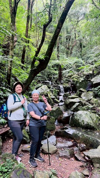 🌈7/5（日）東滿縱走（東眼山~滿月圓）FB：熊熊趴爬走(富裕登山社)🌈3082863