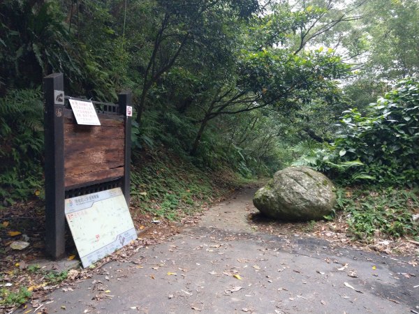新店小獅山訪11座涼亭縱走待老坑山尋山頭902181