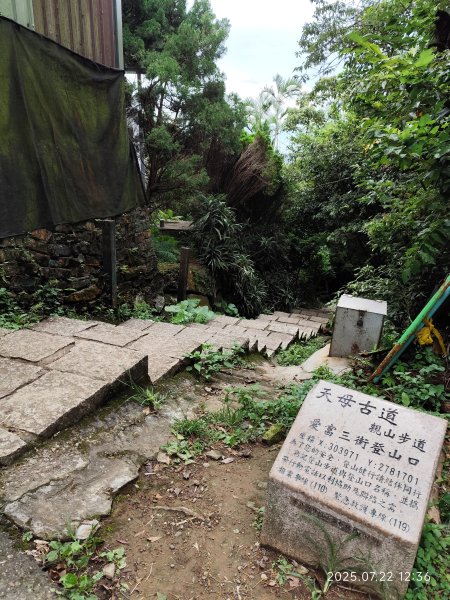 天母古道、西門町、艋舺青山宮、剝皮寮、龍山寺2844592