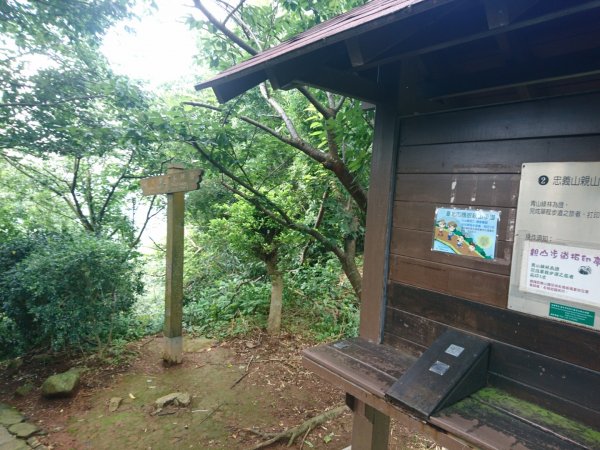 關渡、忠義山親山步道607601