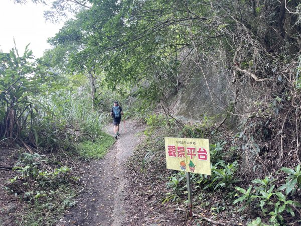 關西赤柯山+東獅頭山 O繞 202307262232677