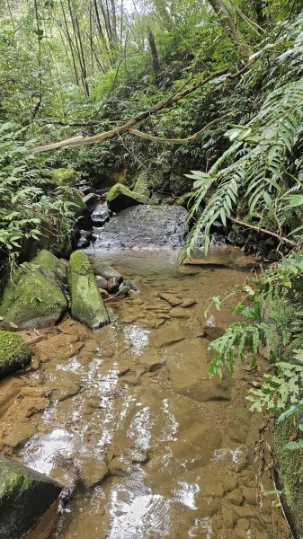20260224興基坑古道-淡基橫斷古道-界寮縱走o型3007560