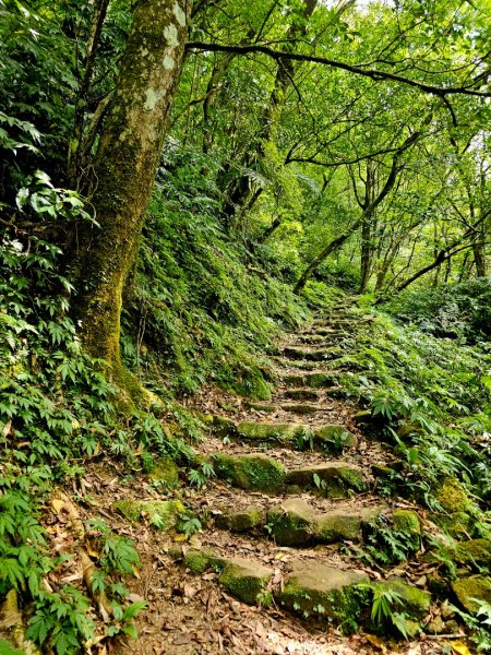 淡蘭中路第四段：威惠廟至灣潭古道登山口(崩山坑線)2882725