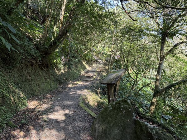 [淡蘭古道] 2026_0315 南路第二段_外按古道3016413