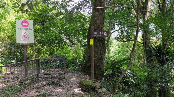 福山部落,內洞森遊區2552445
