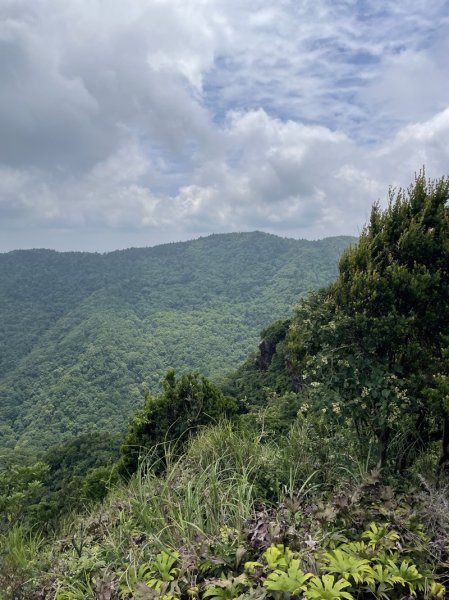 司公髻尾山2802982