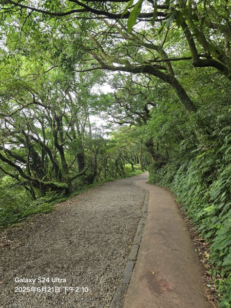 2025-06-21臺北大縱走第二段：二子坪至小油坑2821088