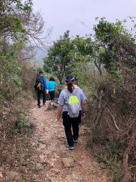 2020.04.02北柴山900719