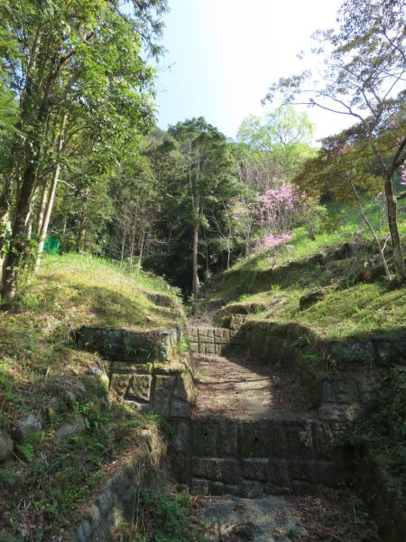 仙山登山步道O形走+小百岳No.33仙山2715827