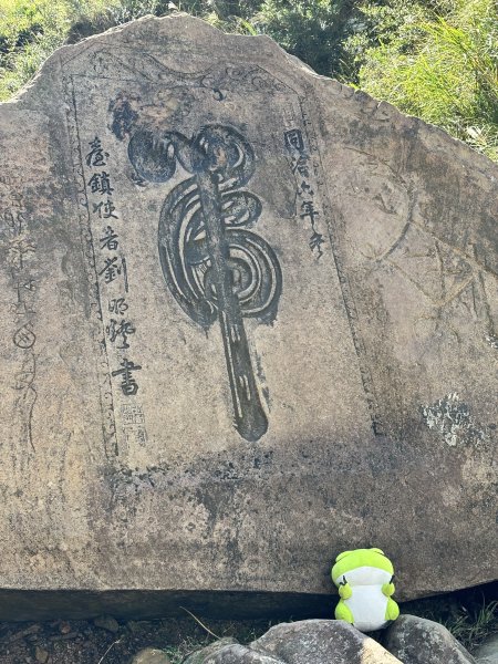 2025 芒草季 草嶺古道2932920