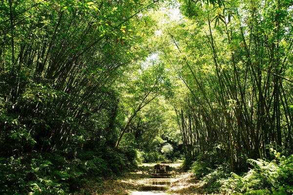 新北 平溪 頂子寮山、五分山3043956
