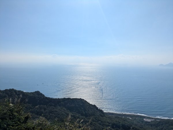 20251108桃源谷到草嶺古道大里天公廟2931459