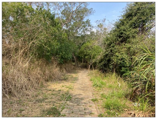 火炎山、龍峎頂步道 O型路線2783755