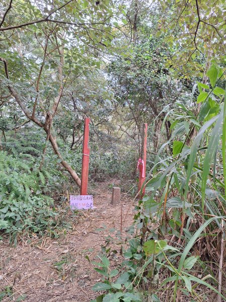 烏山嶺水利古道+鳥子嶺O型2967453