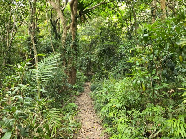 女仍山（小百岳）2752516