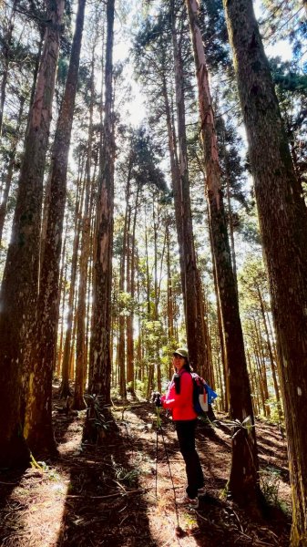 🌈11/9(日)高島縱走~高台山連走島田山山徑✨FB：熊熊趴爬走🌈2932497