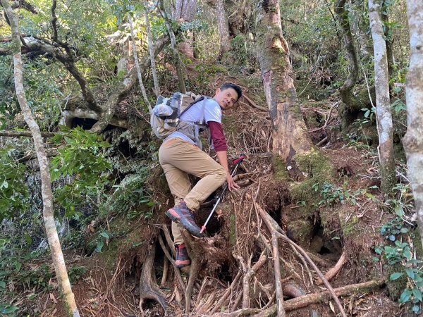 長壽山-醜崠山-鳶嘴山【既優雅又狂野的另類選擇】2673957