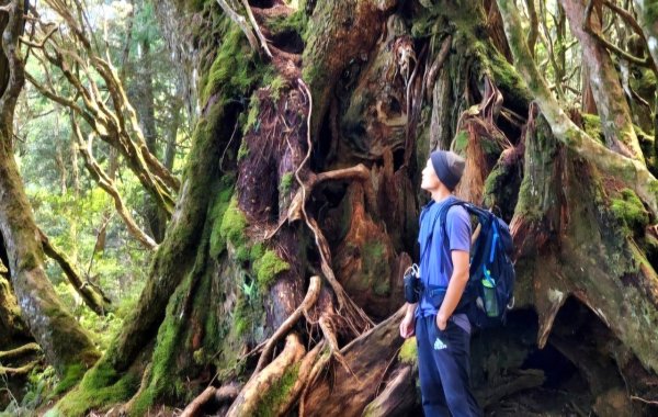 塔曼山，拔刀爾山，美鹿山南峰，內洞林道，大刀山，啦卡登山步道，桃園枕頭山，阿姆坪生態公園，大溪坪古道封面