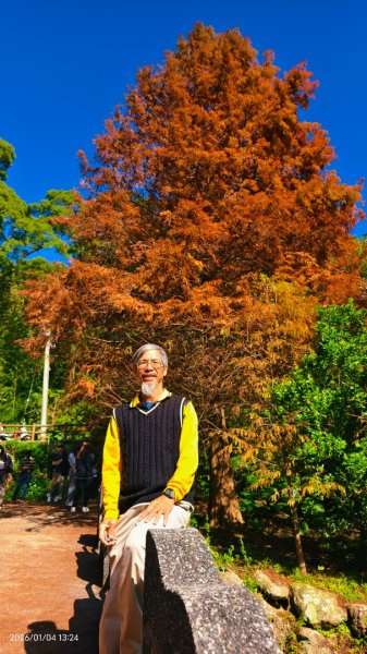 #花卉試驗中心 #永公路500巷 #平菁街42巷 #原住民公園 #士林官邸 1/42976535