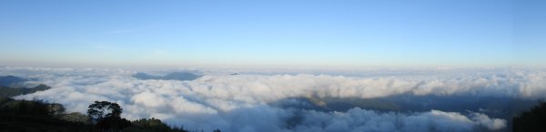 最高小百岳-大塔山2663M&阿里山二延平步道1775023