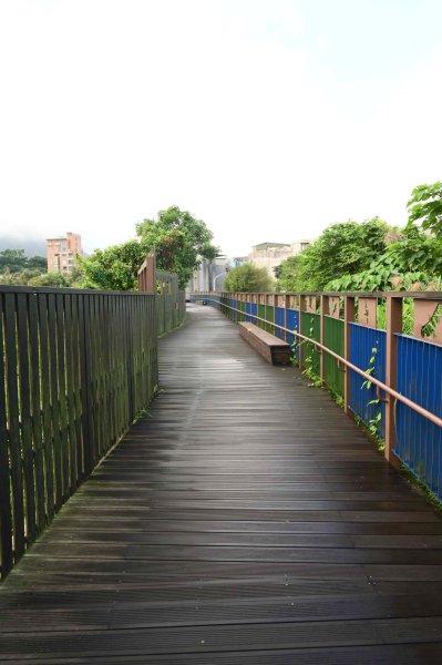 20251202松山療養所所長宿舍-新庄仔埤賞鳥平台-松山二坑-松山煤礦-松山機場觀景台2952805