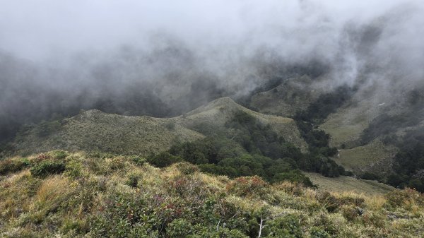 20241124-1130 南二段10座百岳2665340