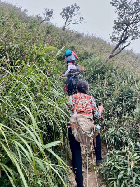 小百岳三角崙山(東南峰)全紀錄2879962