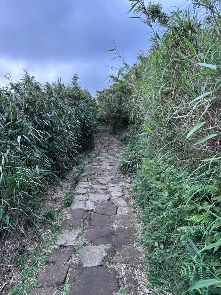 台北大縱走第三段2786884