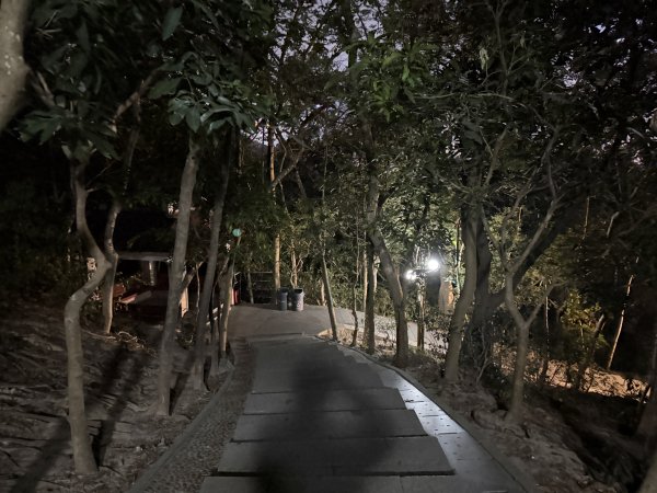 [茂名馬之行-13] 2026_0119 深圳夜景2997037